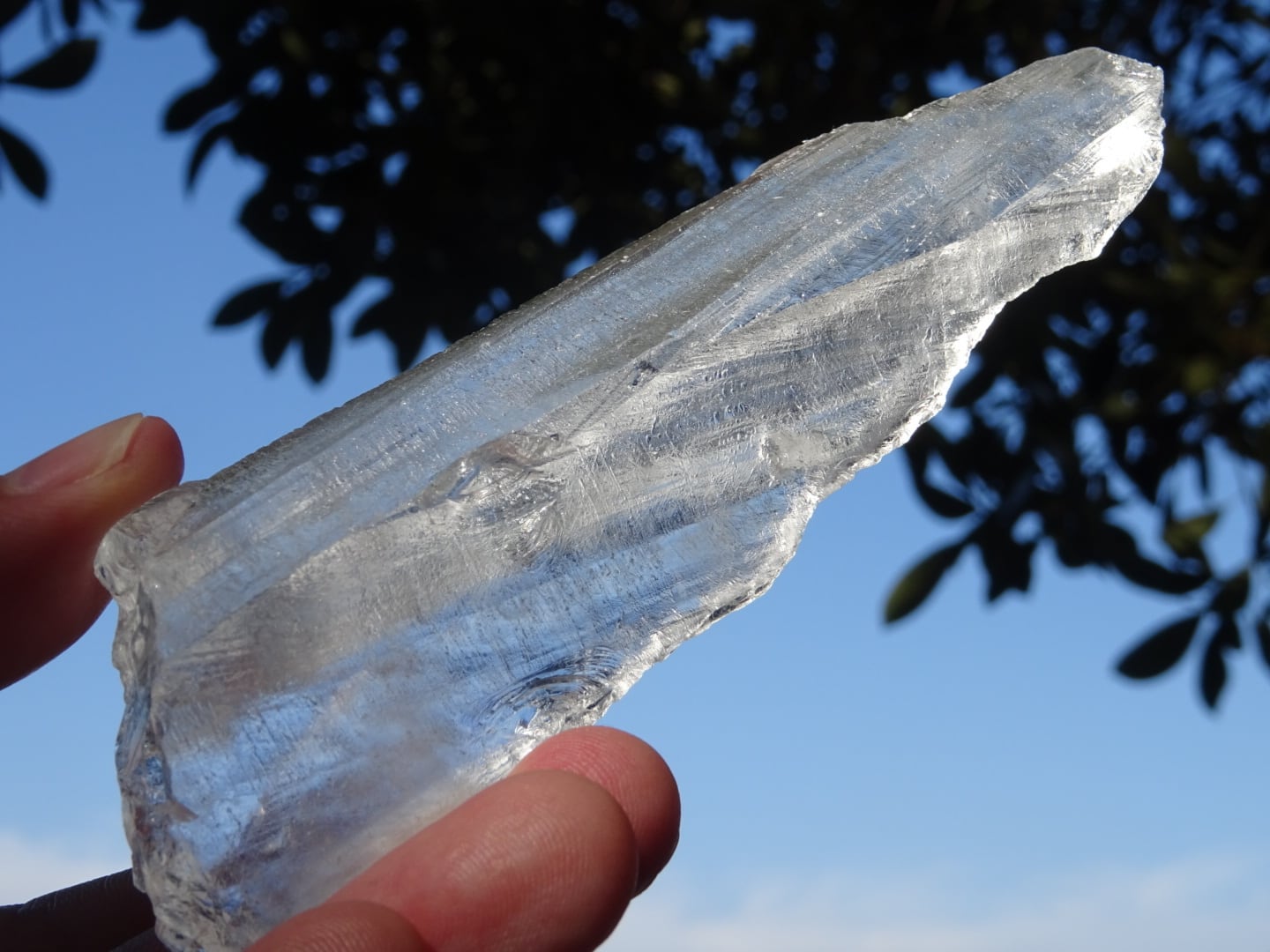 ピュアレイ レムリアンルーツ 原石 クリスタル 天然石 水晶 鉱物 一点物 ピュアレイ レムリアンルーツ 透明 原石 クリスタル 天然石 水晶