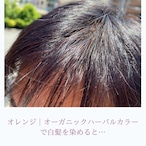【ヘナ初心者セット】ミディアムヘア用オーガニックヘアカラーセット２｜エコヴェーダ