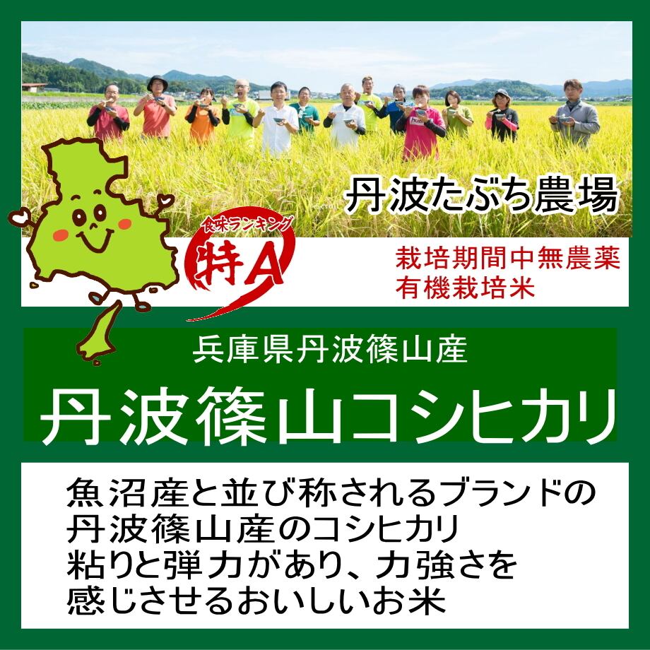 令和7年産】特別栽培米きらみずき 1kg | ごはんの魅力