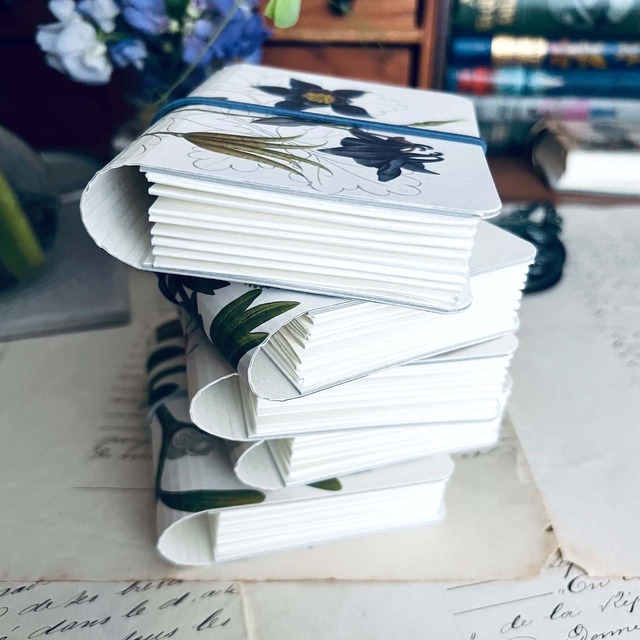 アンティーク植物図鑑 リメイク ミニアコーディオンファイル / Antique Plant Illustrated Book Remake