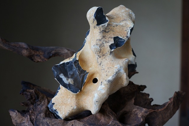 フリント塊　Flint