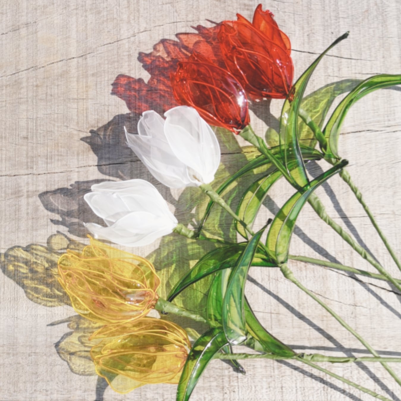 4本クリアチューリップ | clear tulip