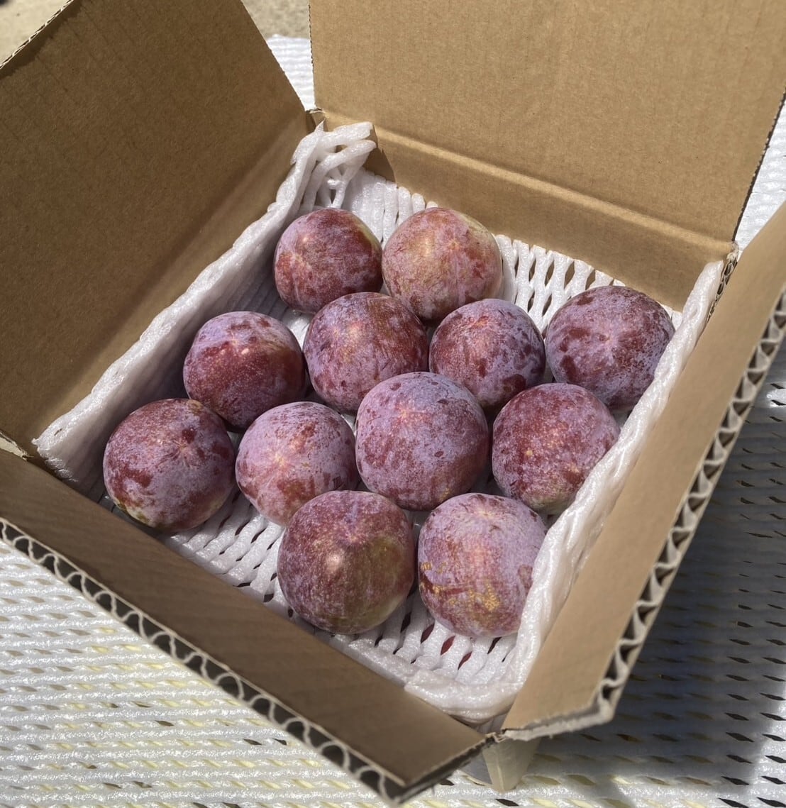 プラム すもも ハニーハート&サマーエンジェル ミックス2kg(12玉+9玉