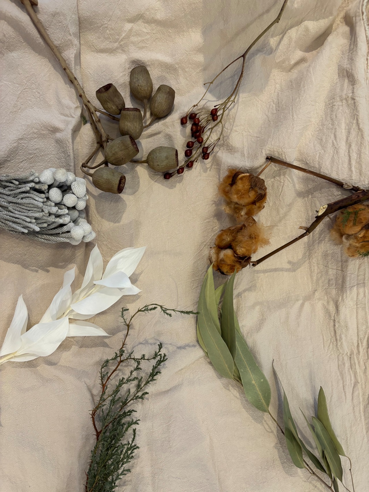 2ヶ月ごとに届くドライフラワー定期便M(送料込)