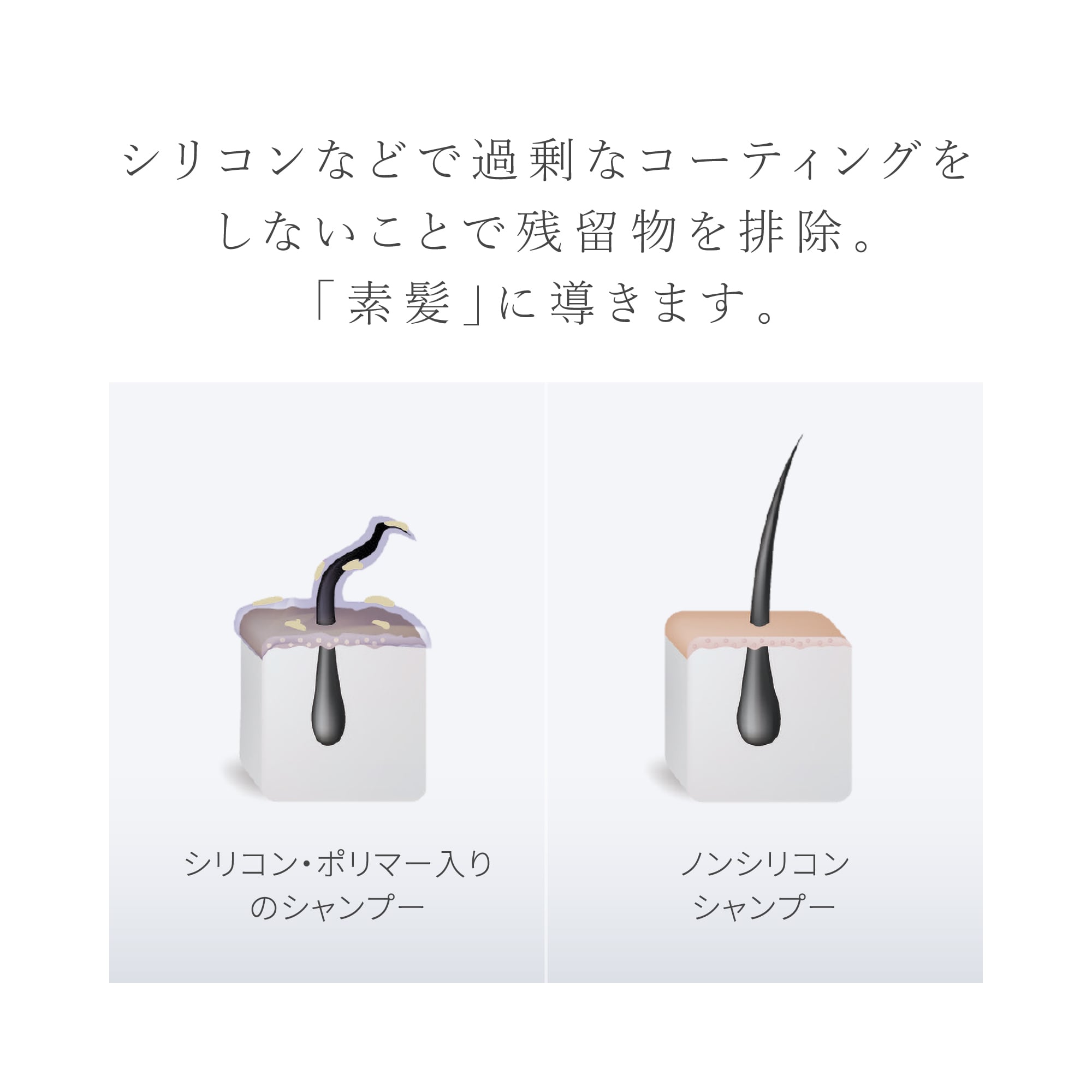 labyness(ラビネス)】amicel CARE シャンプー 300ml | labyness