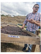 200g GUATEMALA Finca Los Aguacatones Honey グァテマラ アグアカトネス ハニープロセス