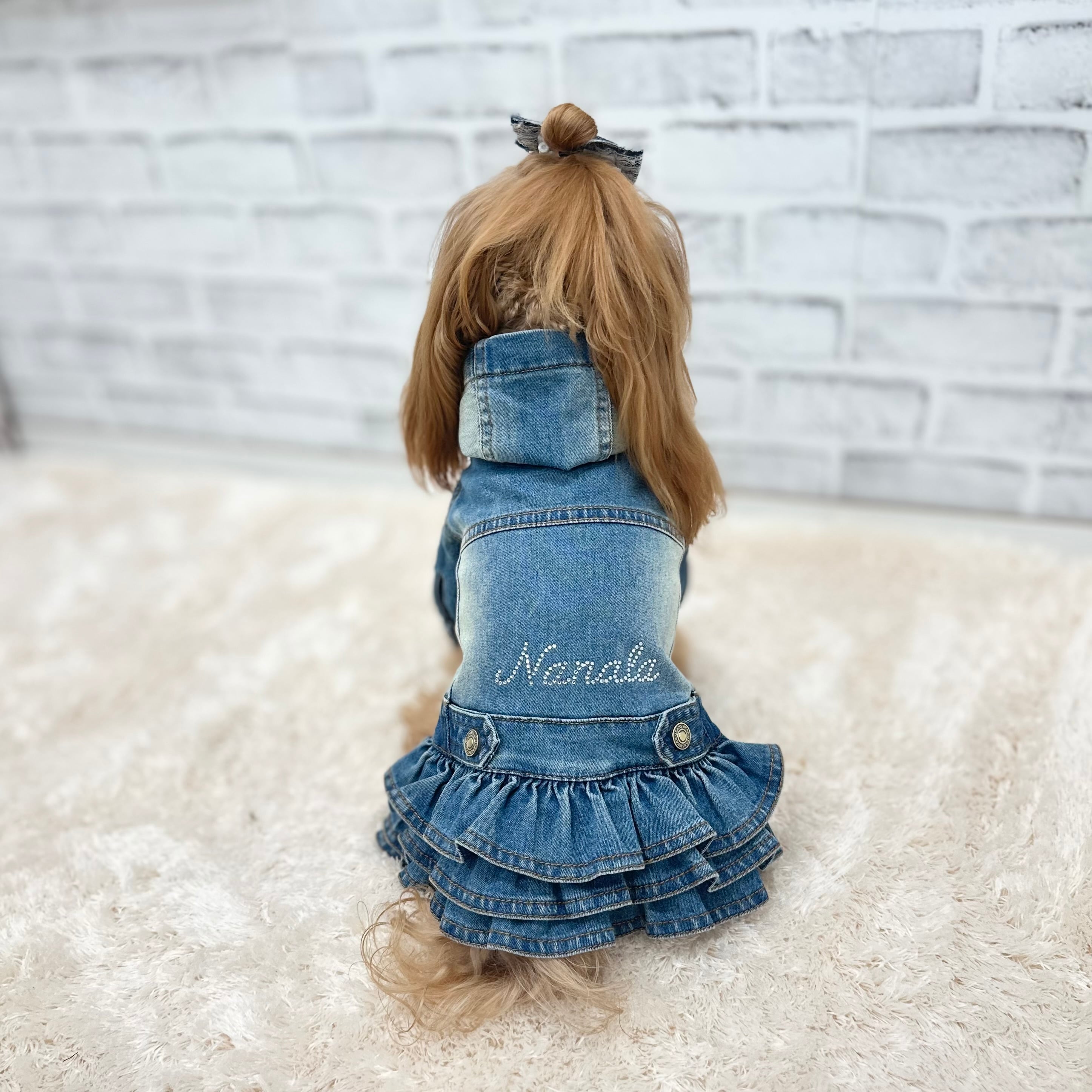 犬服Nanala デニムREON REON~デニム~ 2XL.3XL | Nanala＊