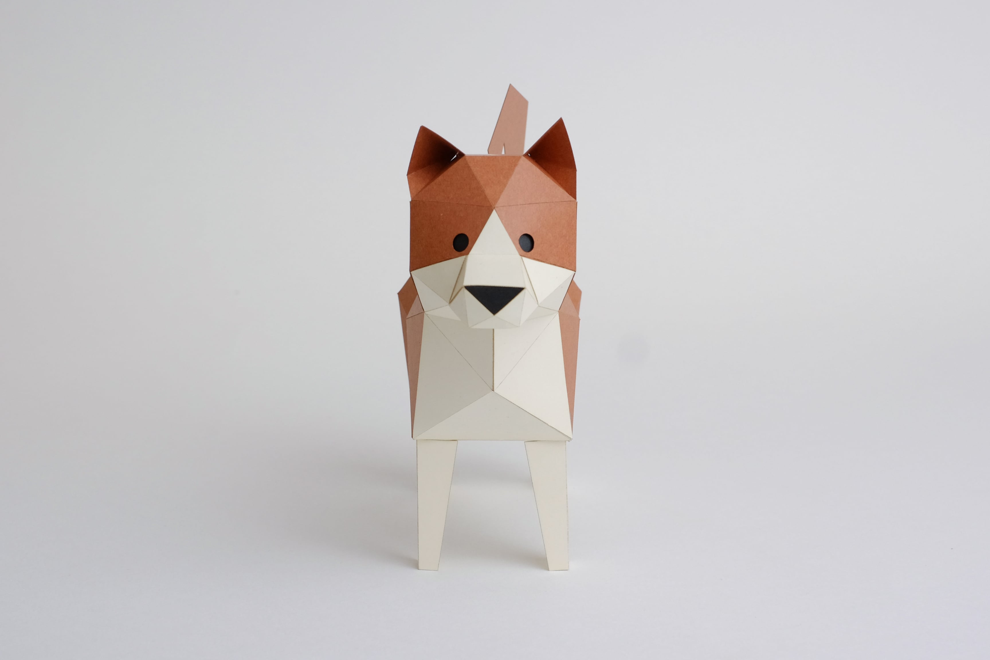 KAKUKAKU TINY しばいぬ | bog craft official store