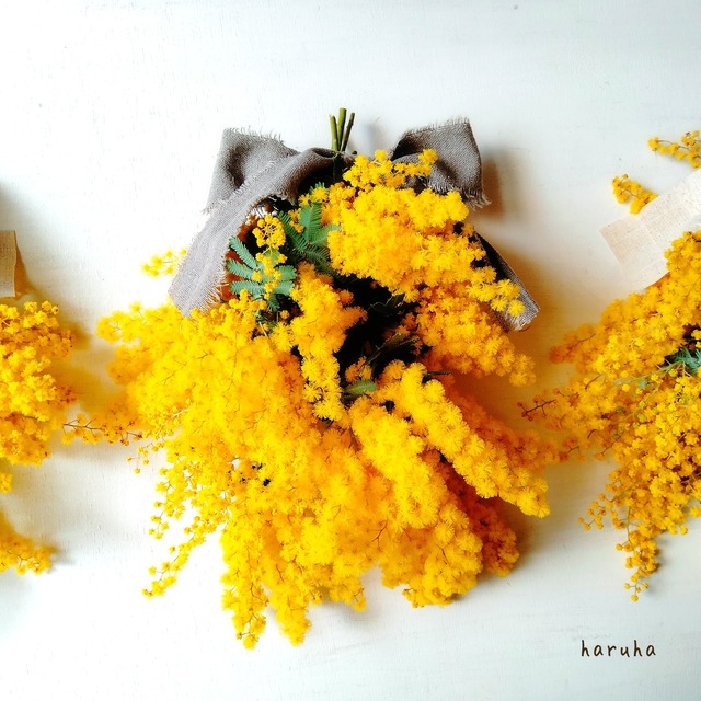 春を告げる花 ミモザのスワッグ ナチュラルな花束 のーふらわーのーらいふ お花かざりharuha はるは
