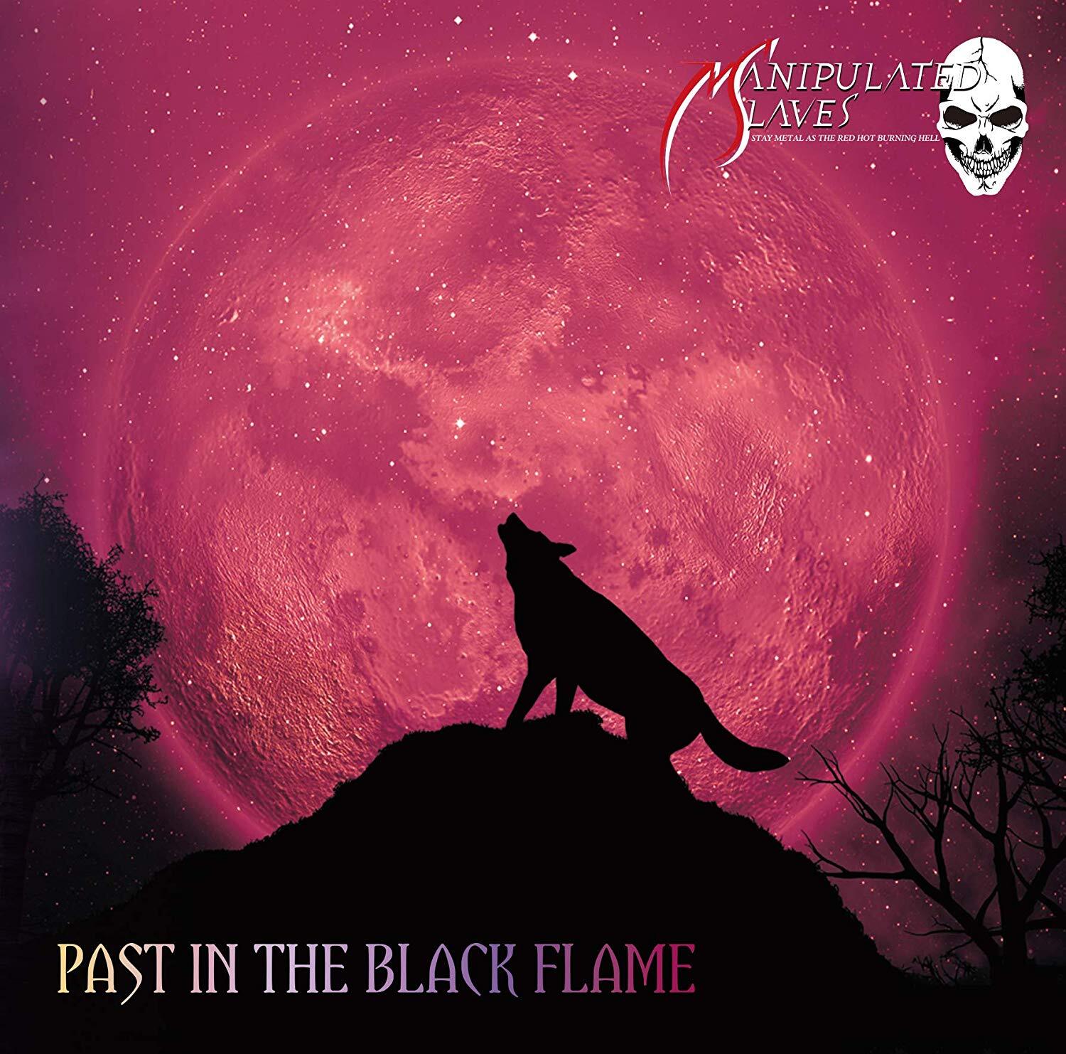 MANIPULATED SLAVES / PAST IN THE BLACK FLAME | SLUMBER RECORDS On