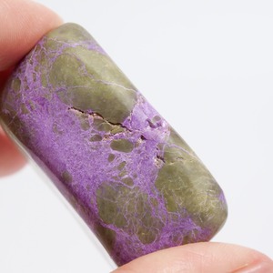 スティヒタイト / パーム