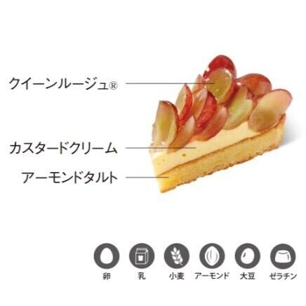 〈5HORN〉クイーンルージュ(R)タルト 1個【期間限定 10/6配送分まで】