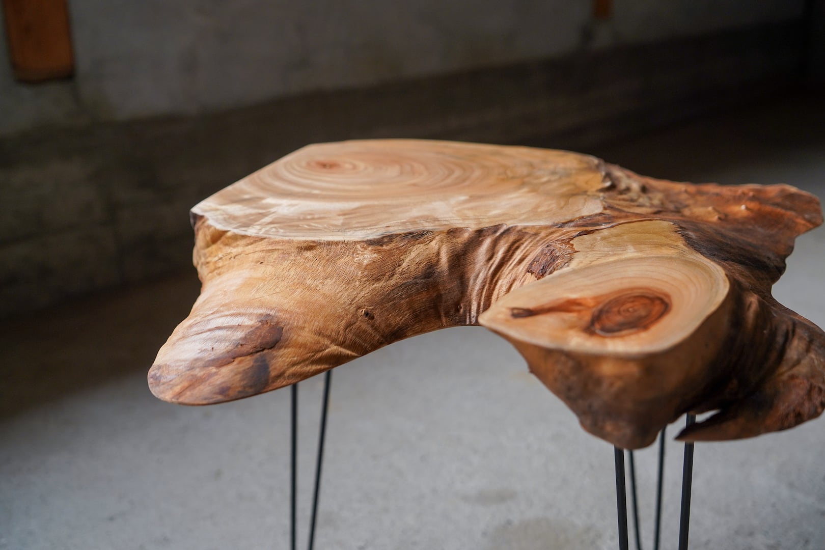 楠の輪切り 一枚板 コーヒーテーブル （高さ・カラー変更無料） | 徳田