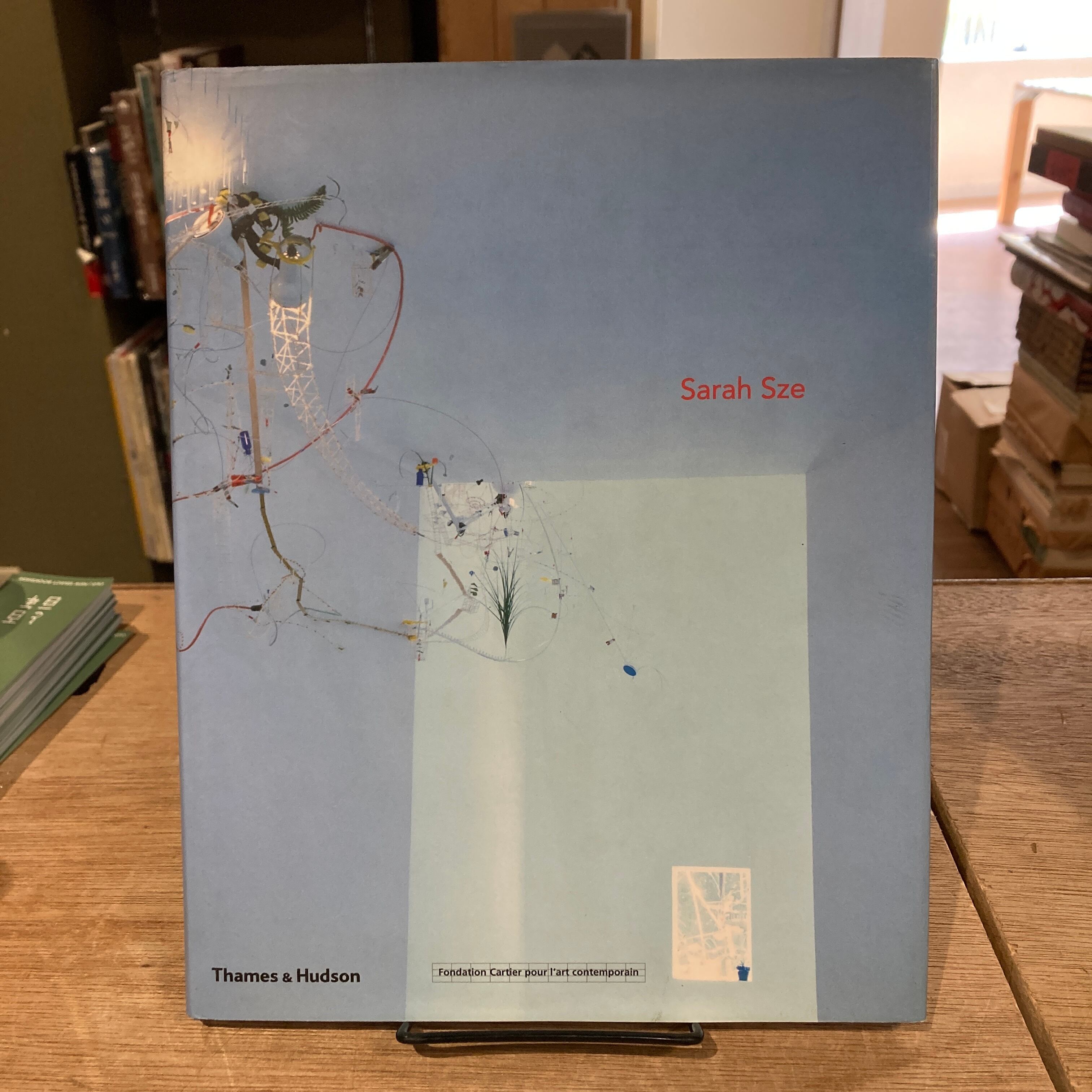 Sarah Sze / サラ・ジー | 百年