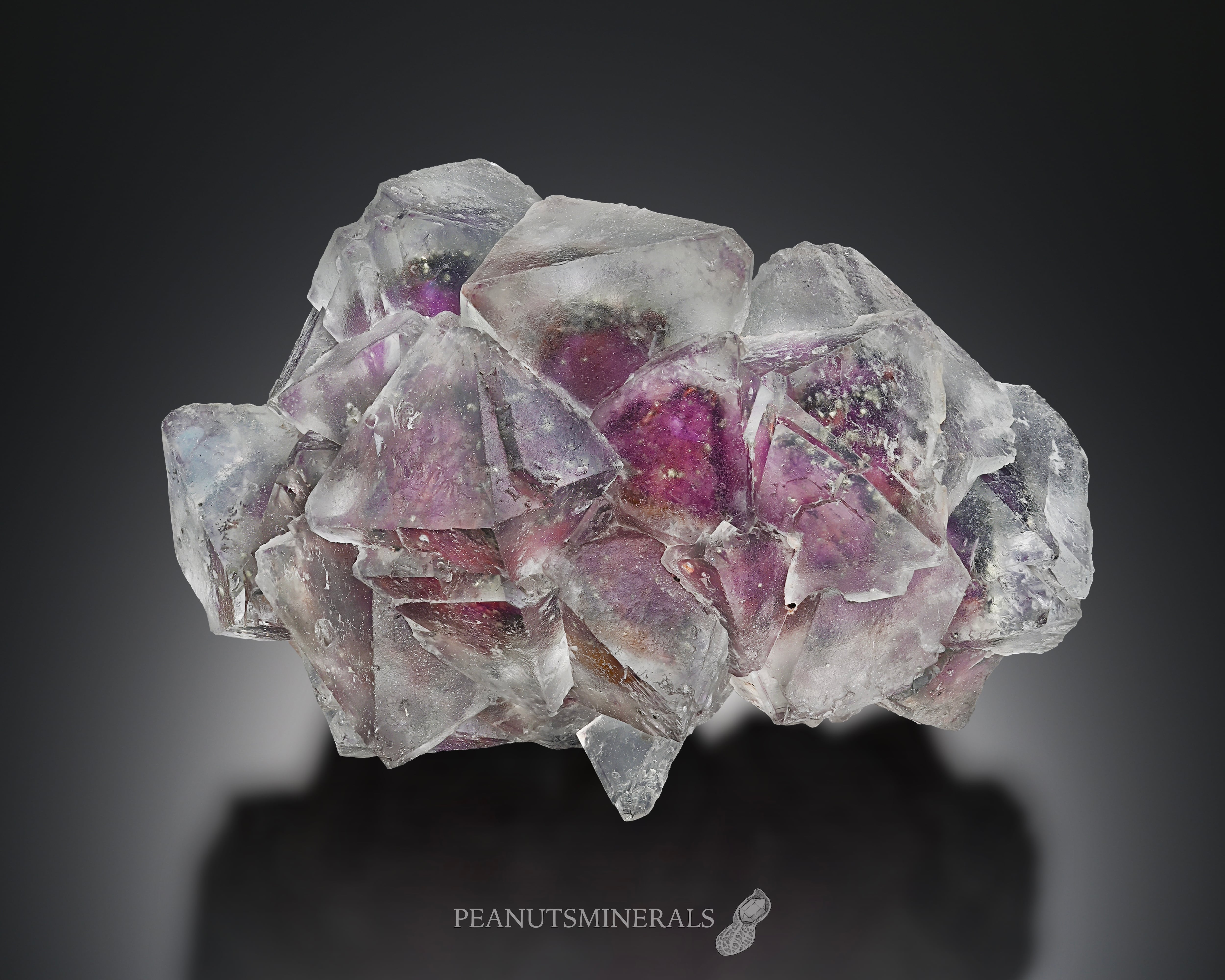 hopeナミビア月光フローライトコレクターピース ＆キラキラパイライト共生 フローライト【Fluorite】ナミビア産 | PEANUTS MINERALS