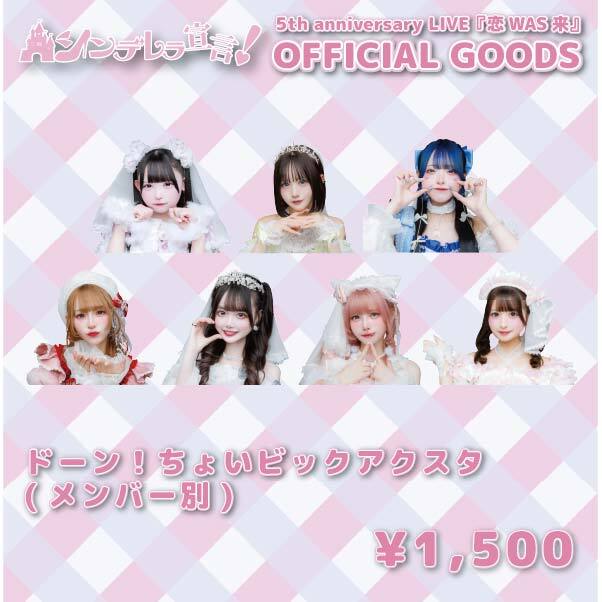 シンデレラの犬 Project オンラインショップ