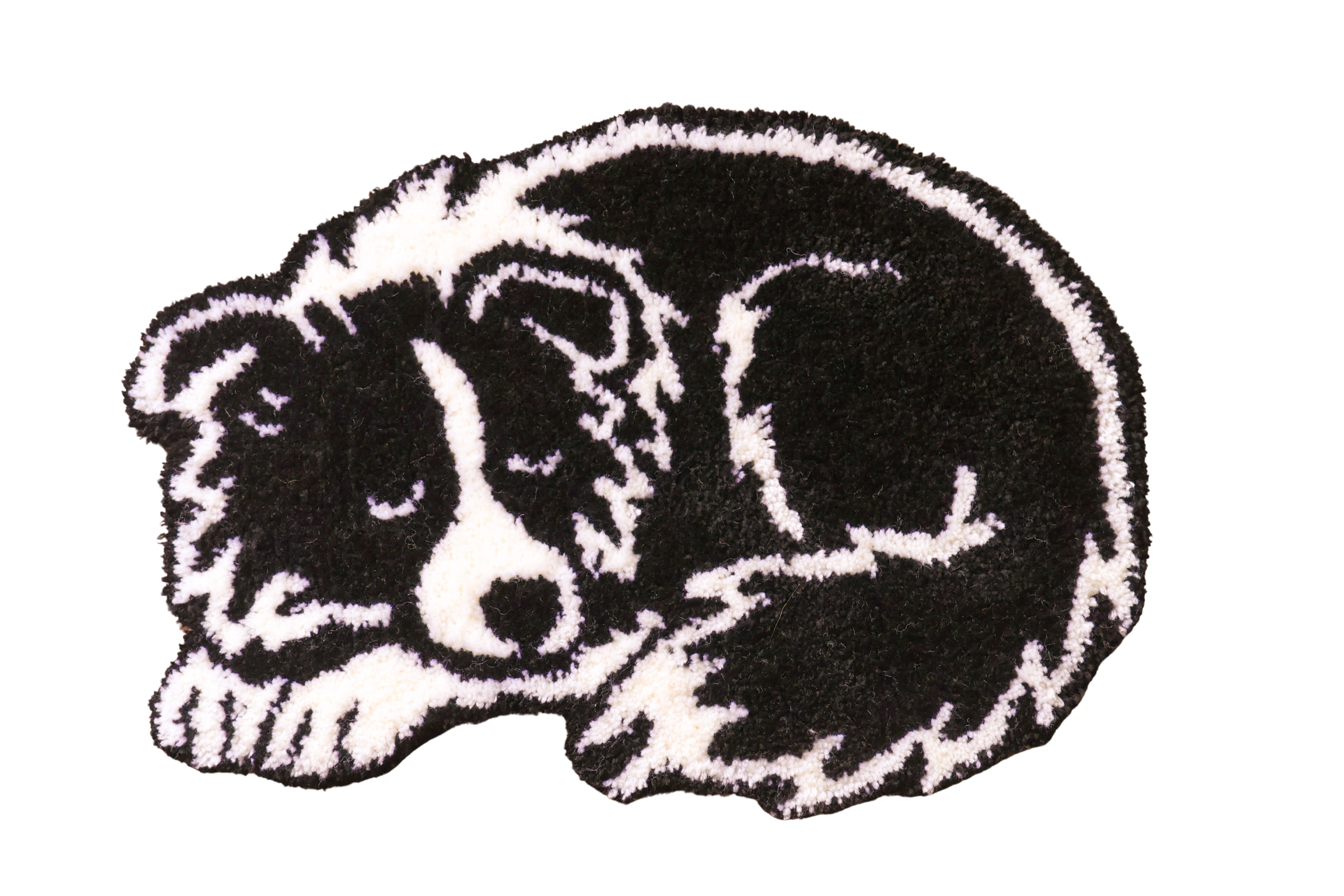 おひるね犬_ bordercollie