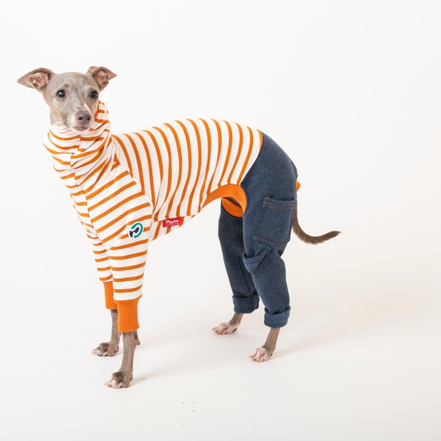 ボーダーファッションロンパース　orange / イタグレ服