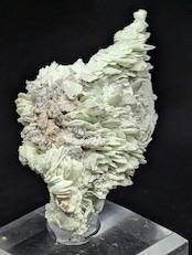 ターブッタイト仮晶アパタイト Skorpion Mine, Rosh Pinah, Karas Region, Namibia AS91900123