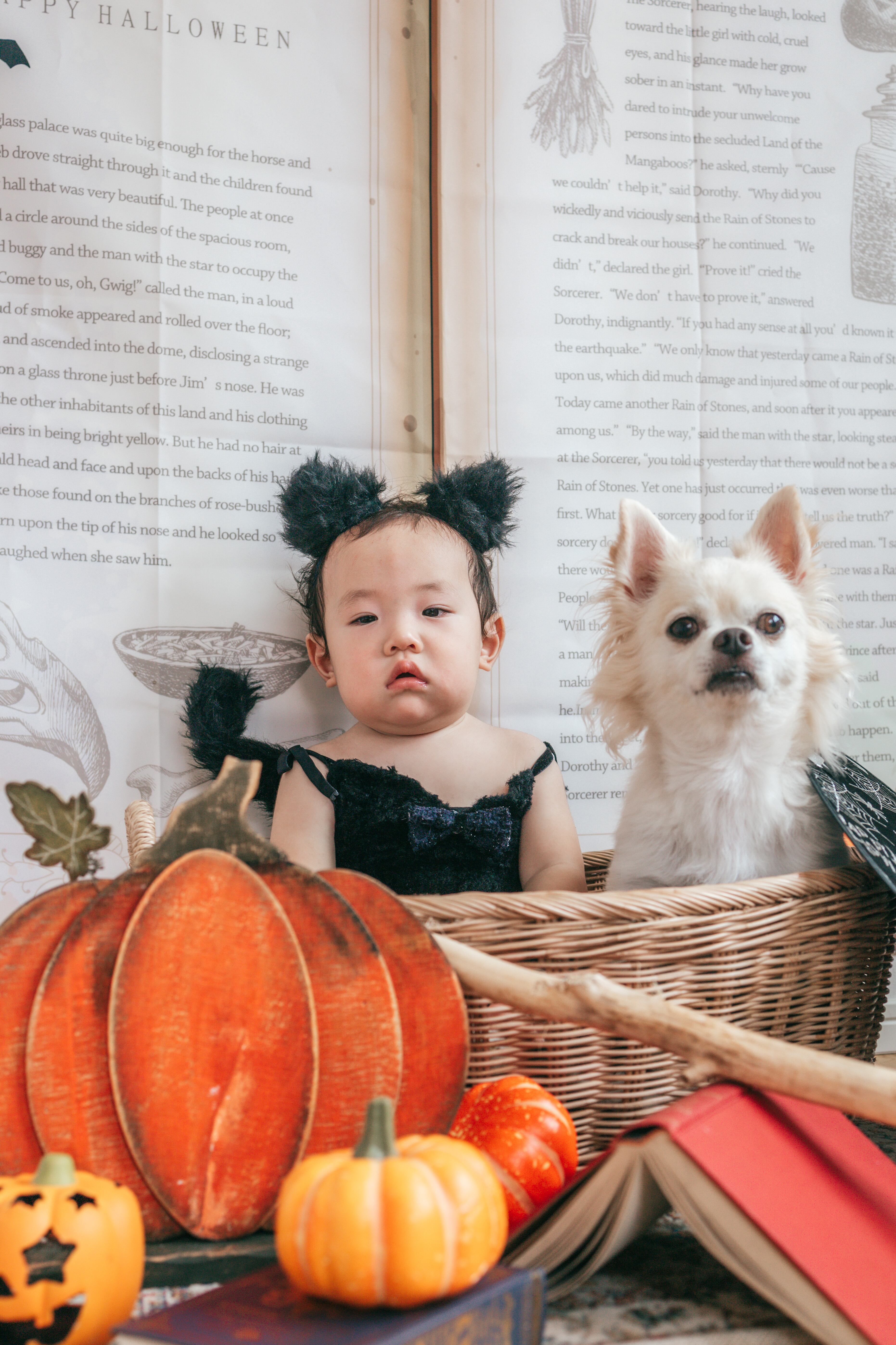魔法の書マット｜おうち写真館・ハロウィン背景布・日本製 | toricomooo