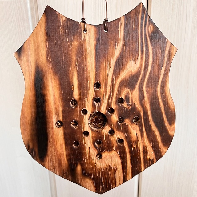 ビカクシダ ウィリンキー 板付 【観葉植物 室内 コウモリラン】