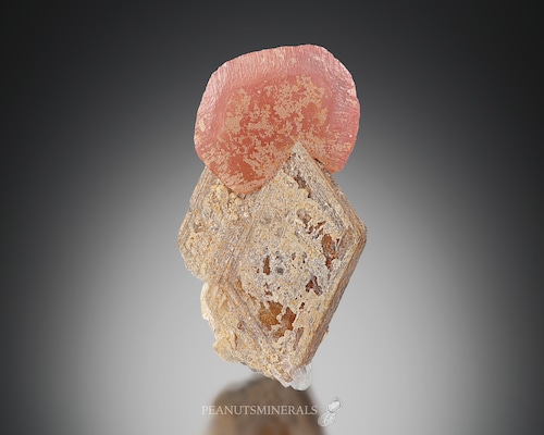 ロードクロサイト / マスコバイト【Rhodochrosite with Muscovite】パキスタン産