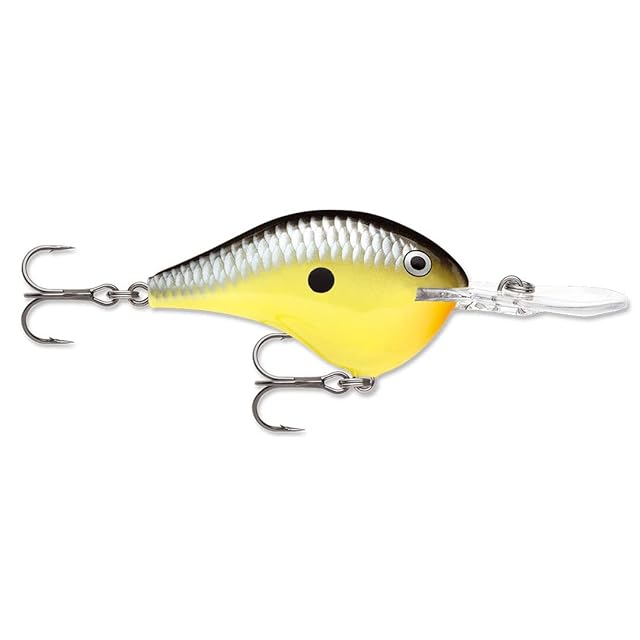 ゼファーガモンACE(SEC) | Pay ID