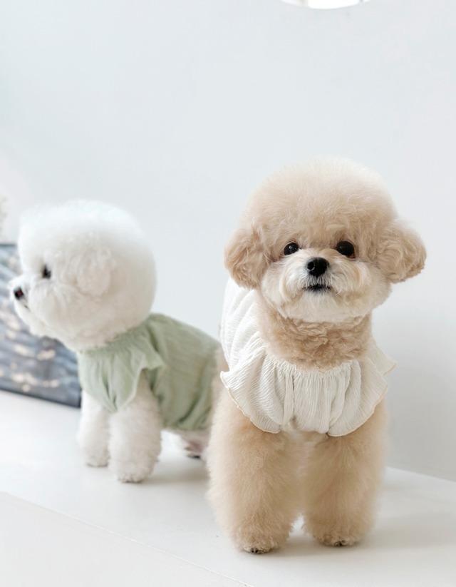 〈予約アイテム〉 EYOU  ピュアロマンティックオールインワン（ミント）