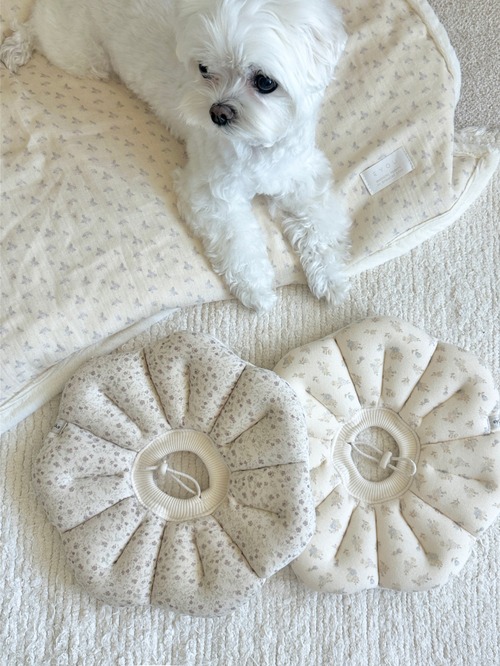 〈即納アイテム〉EYOU  /ピオナネックカラー  ソフトブロッサム　Mサイズ