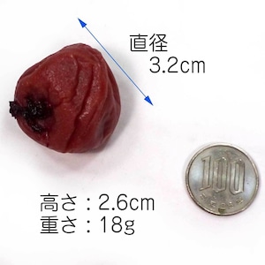 食べちゃいそうな 梅干し 食品サンプル マグネット