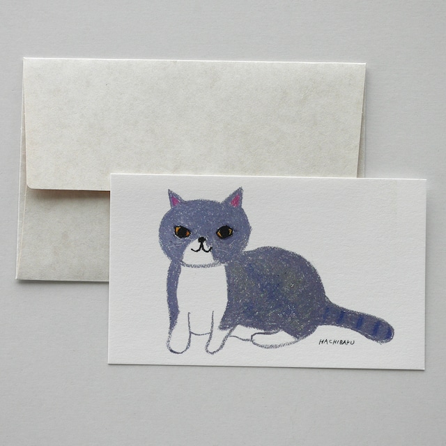 メッセージカード01 猫のみんちゃん