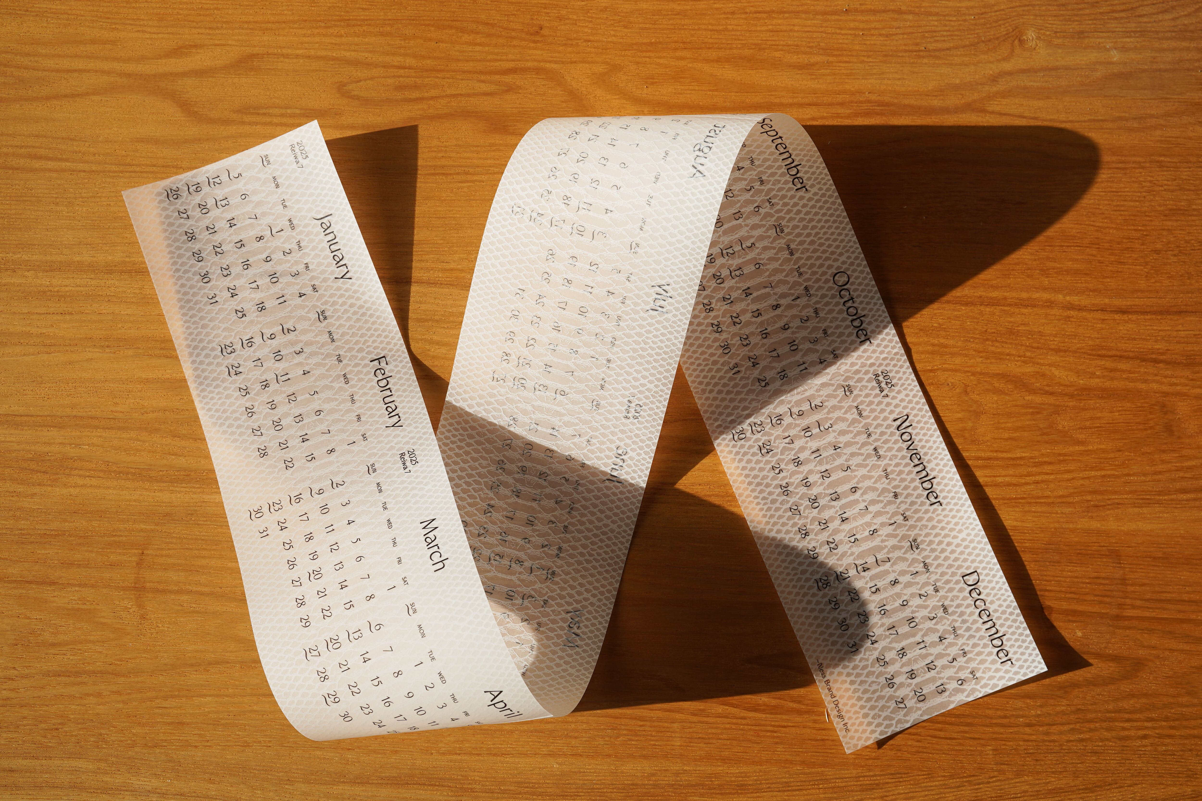 ヘビの抜け殻 ヘビの抜け殻 未加工 1点もの | 東京スネークセンターオンライン