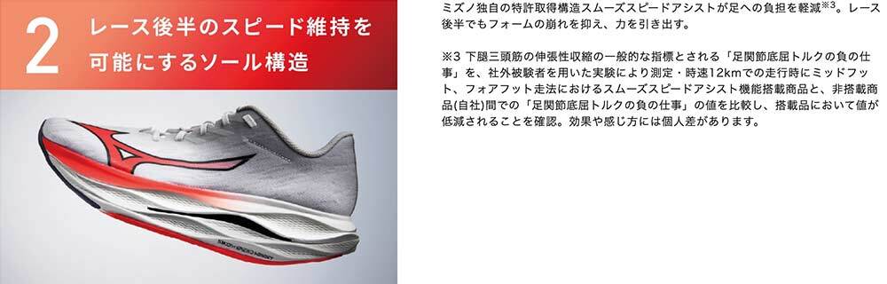 ランニング シューズ ミズノ ウェーブ リベリオン フラッシュ 3