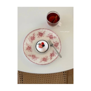 Sarreguemines サルグミンヌ / “DECOR18” pink 平皿プレート b