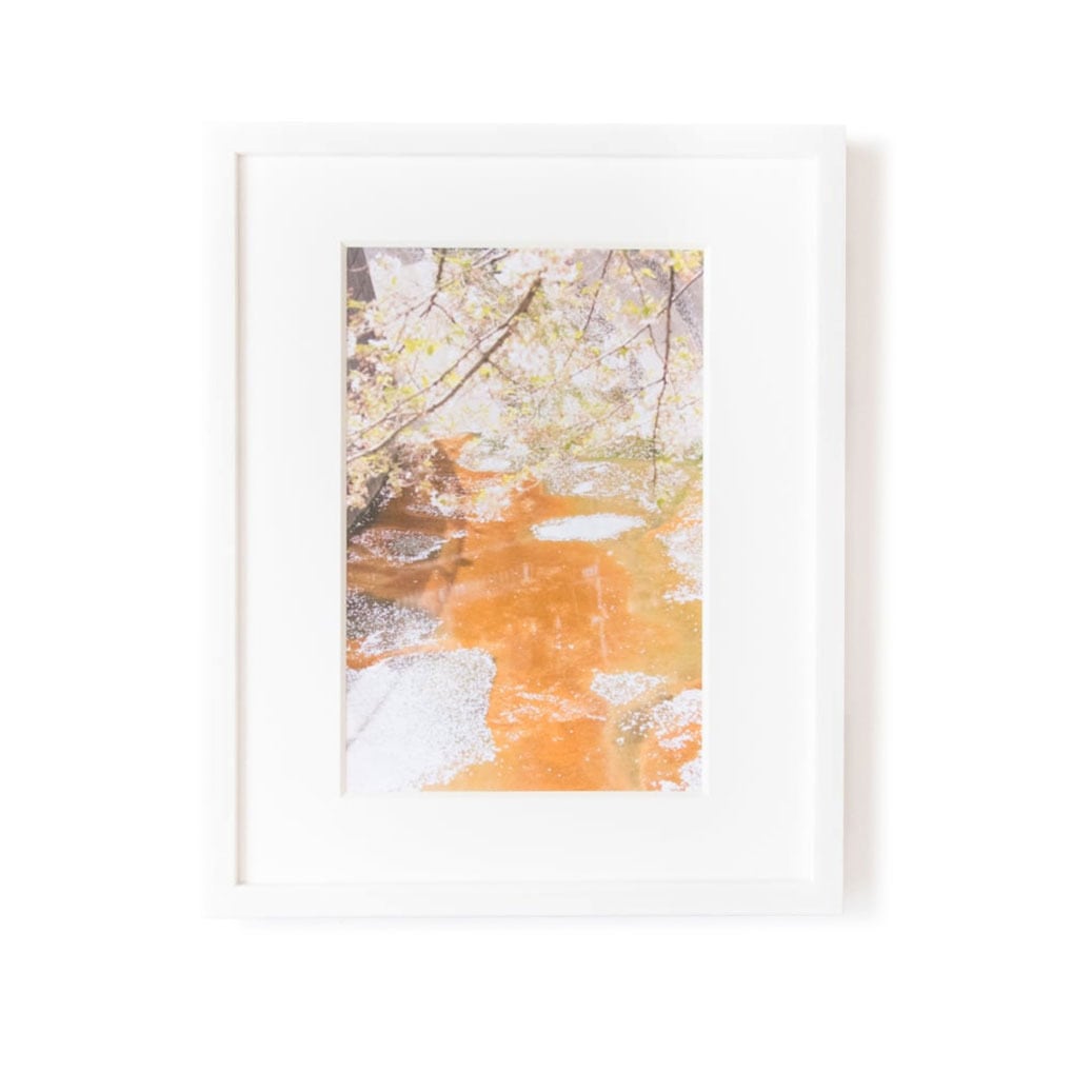 永瀬沙世　PINK LEMONADE otherprint 額 PINK LEMONADE - 永瀬沙世 | shashasha 写々者 - 写真集とアート