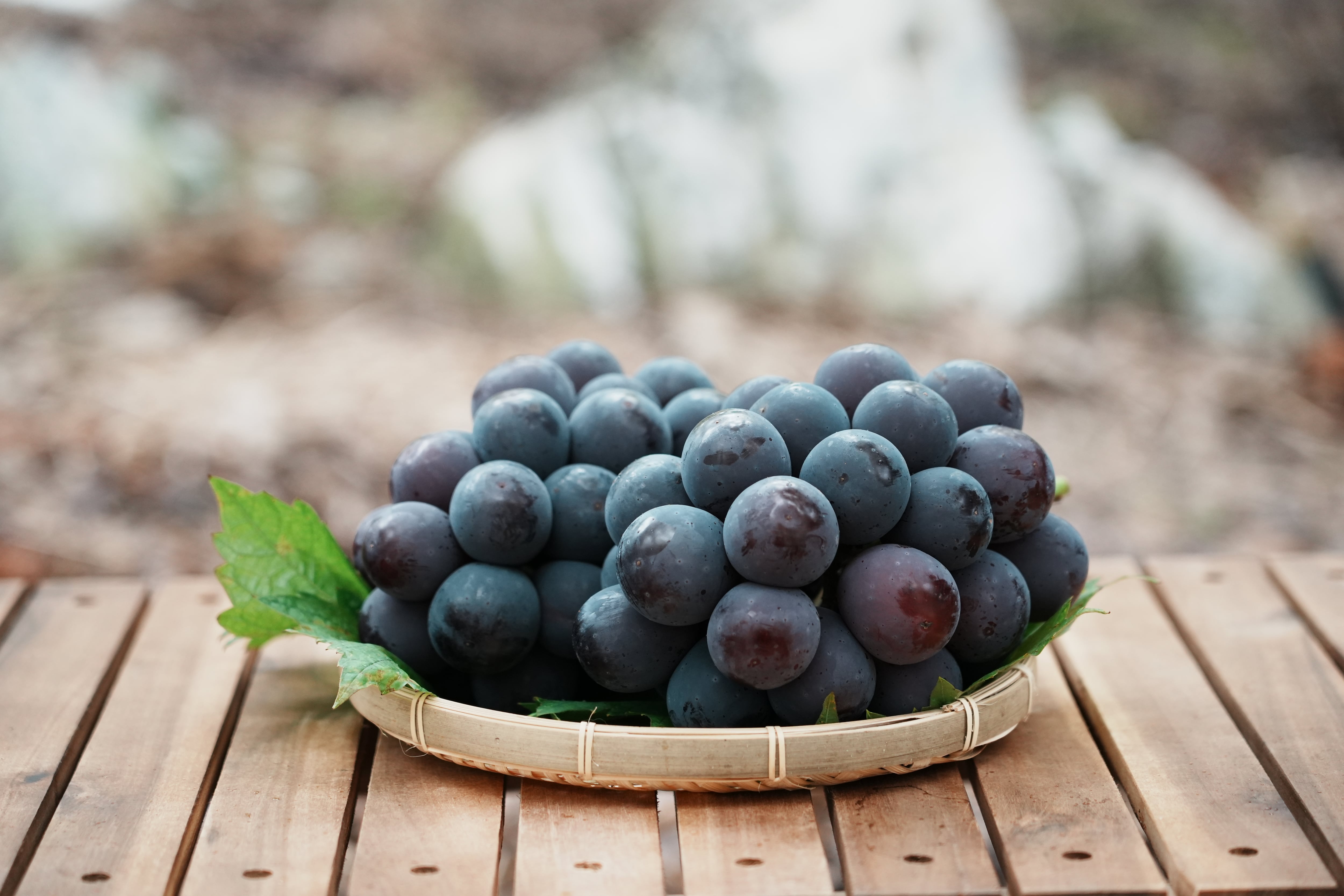 ピオーネ 2kg (岡山県産・種なし)