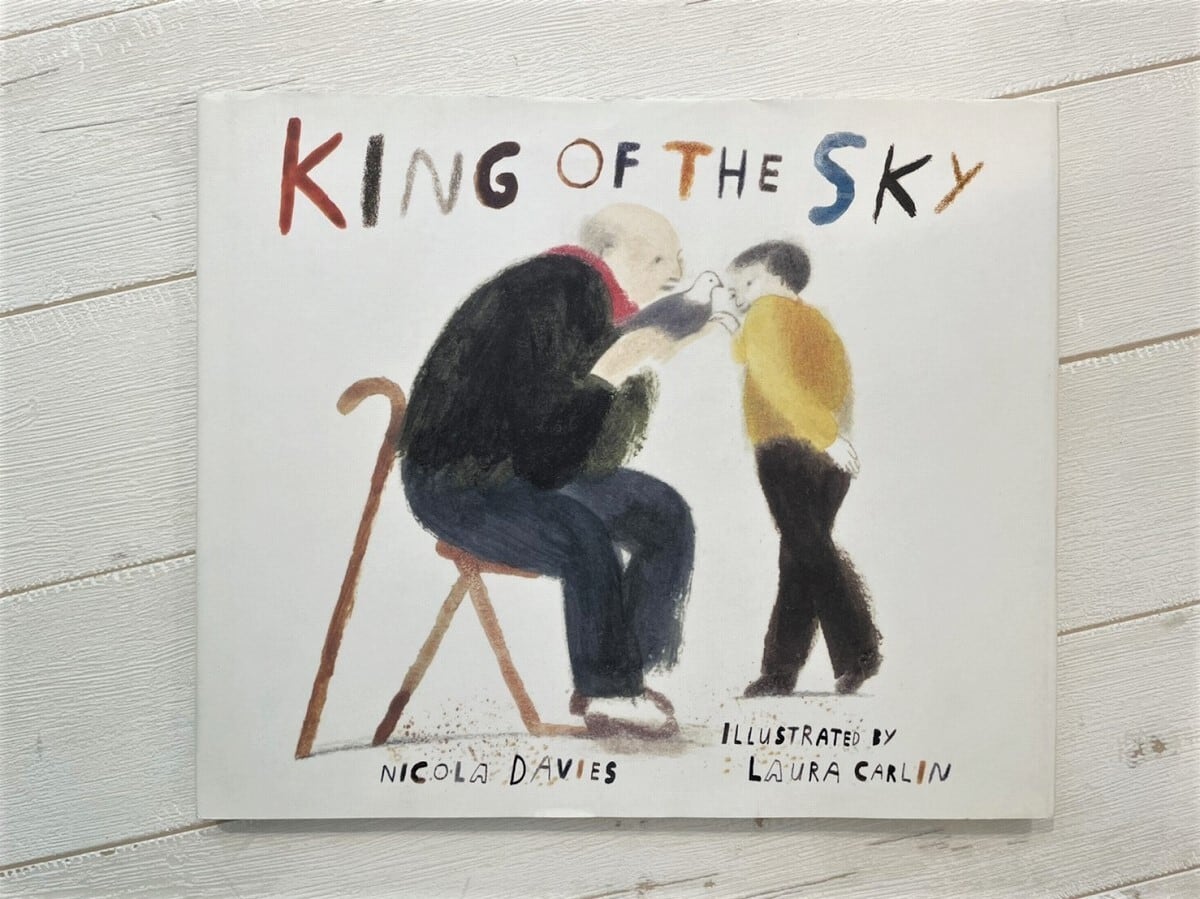 【DP179】King of the Sky / picture book