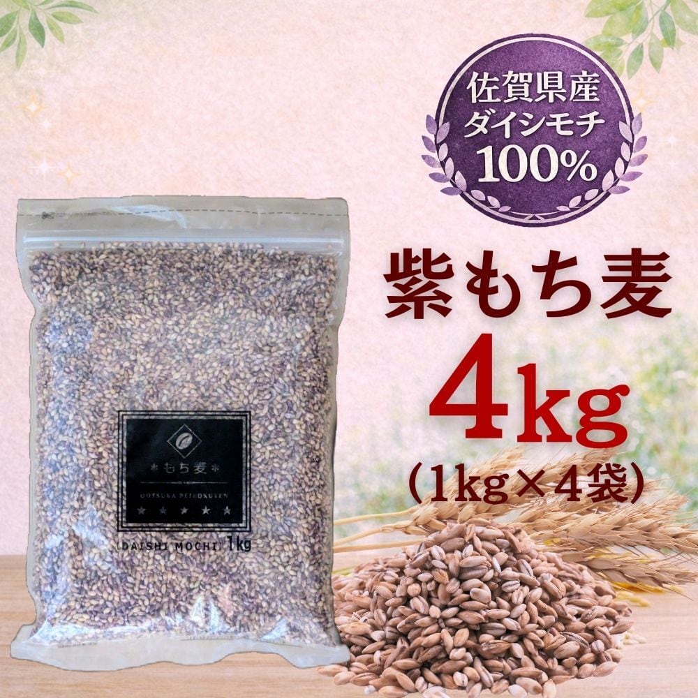 佐賀県産 【ダイシモチ】4㎏ | 玄米専門店【葉隠れ屋】#大塚米穀店