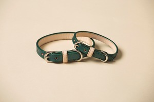 Collar / Dark Green