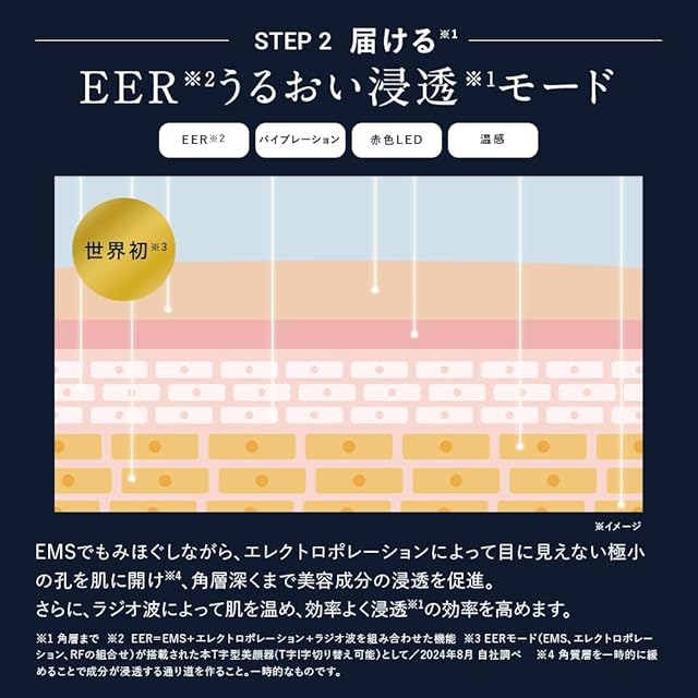 在庫セール』DISM 美顔器 医師監修 1台8役 EMS EER リフトアップ