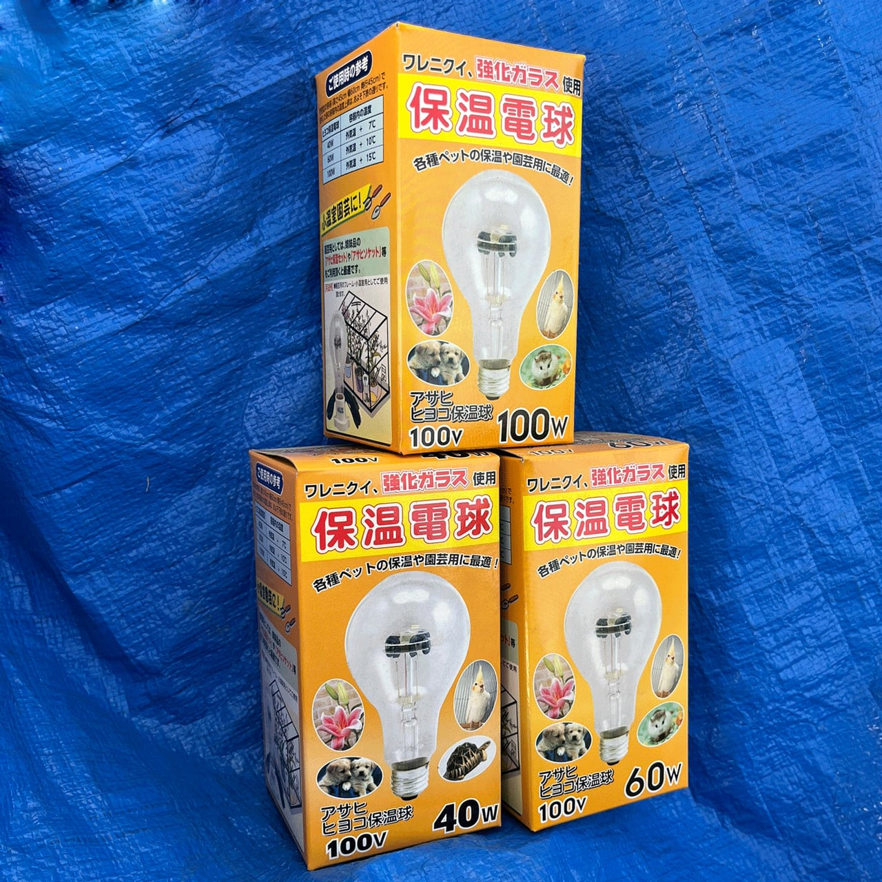 ペットヒーター100W (アサヒ)｜ペット用品｜日用雑貨｜電材堂