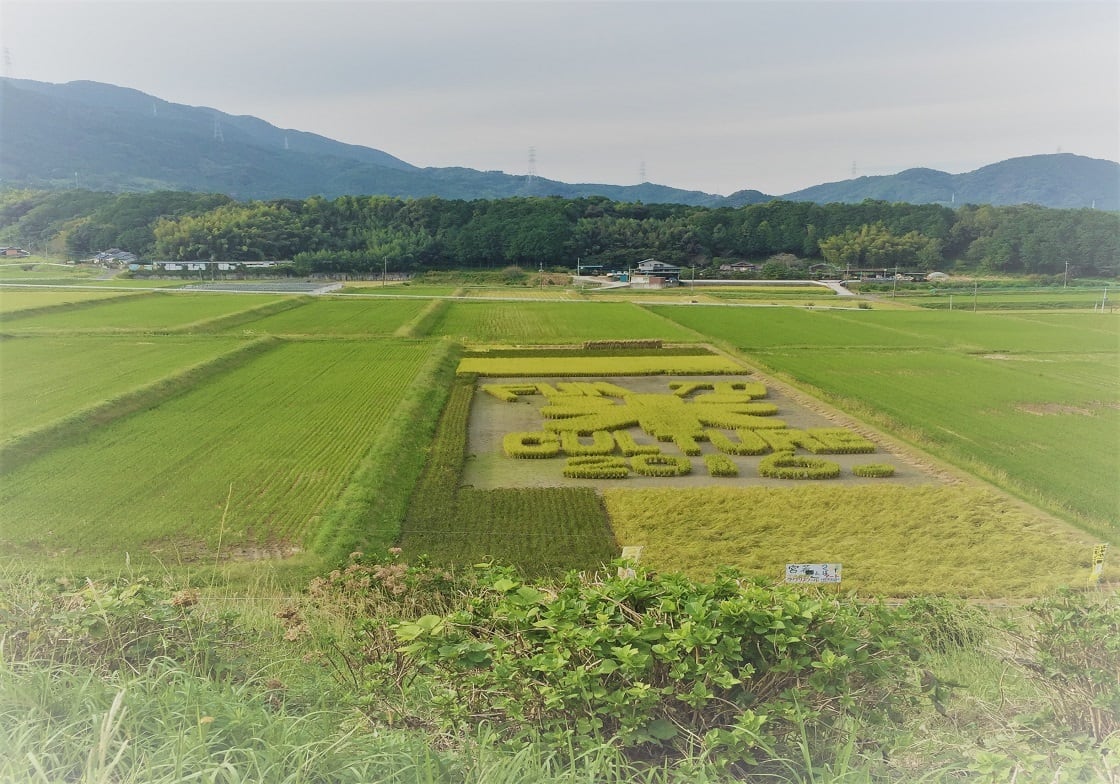 五色米（4種類の古代米の玄米を贅沢にブレンド）100g袋×3袋 | 西尾農園SHOP