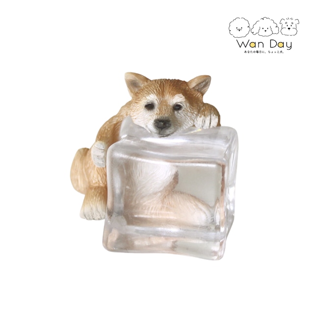 【柴犬】アイスアニマル