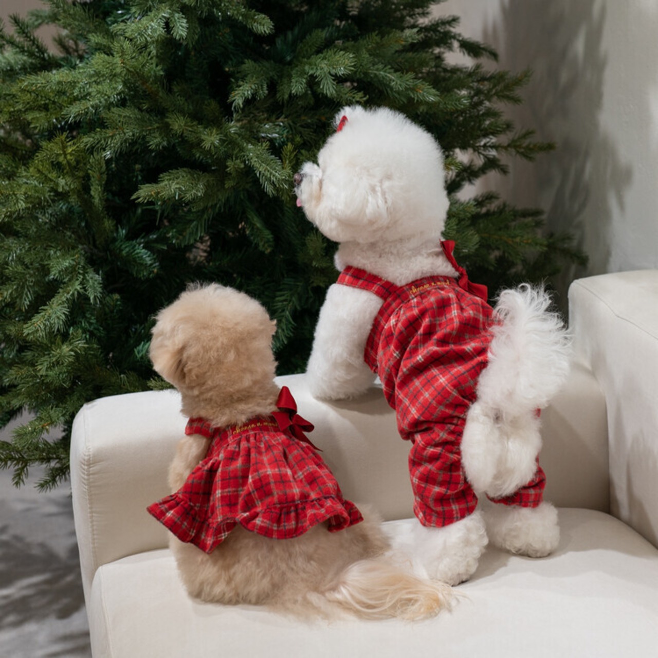 即納【cheese n mood】チェックベルワンピース（レッド）