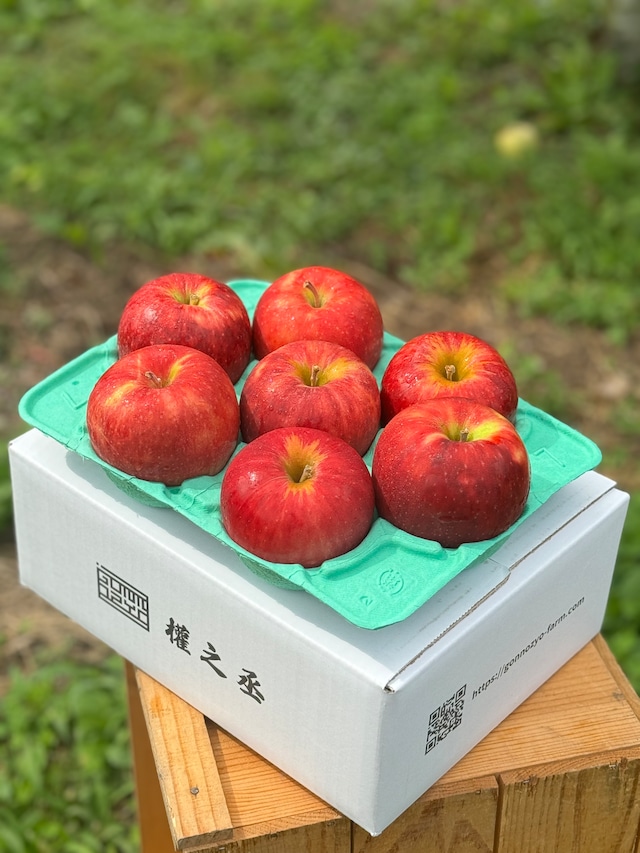 葉取らずつがる家庭用 2㎏ 【5〜10個】