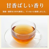 伊藤園 おーいお茶 ほうじ茶 600ml×24本
