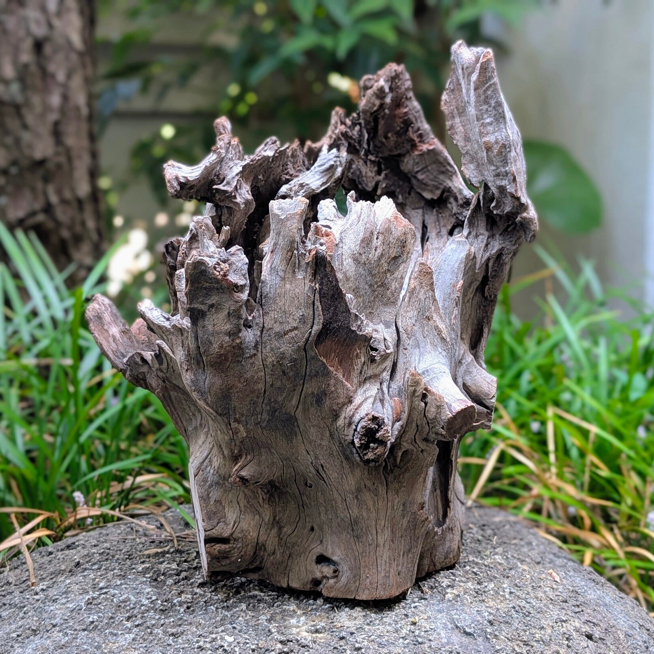 スタンプウッド | ペットの流木 水宗工房