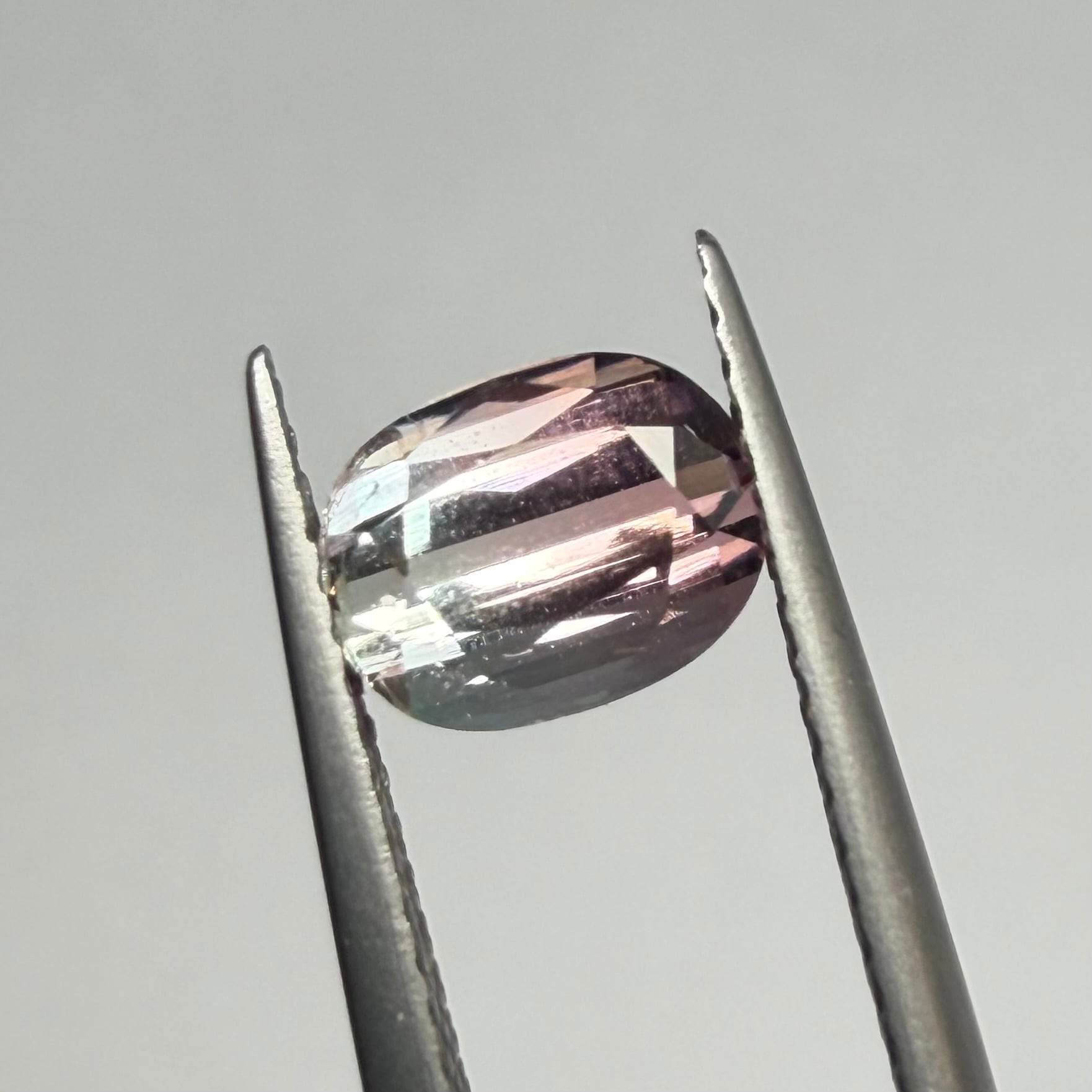 春待ちパーティカラートルマリン