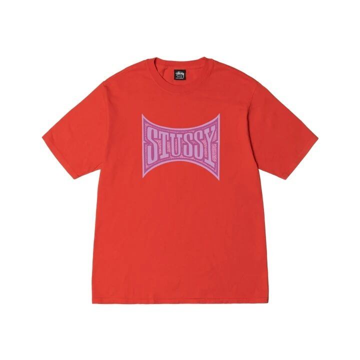 STUSSY CHAMPION PIGMENT DYED TEE ステューシー