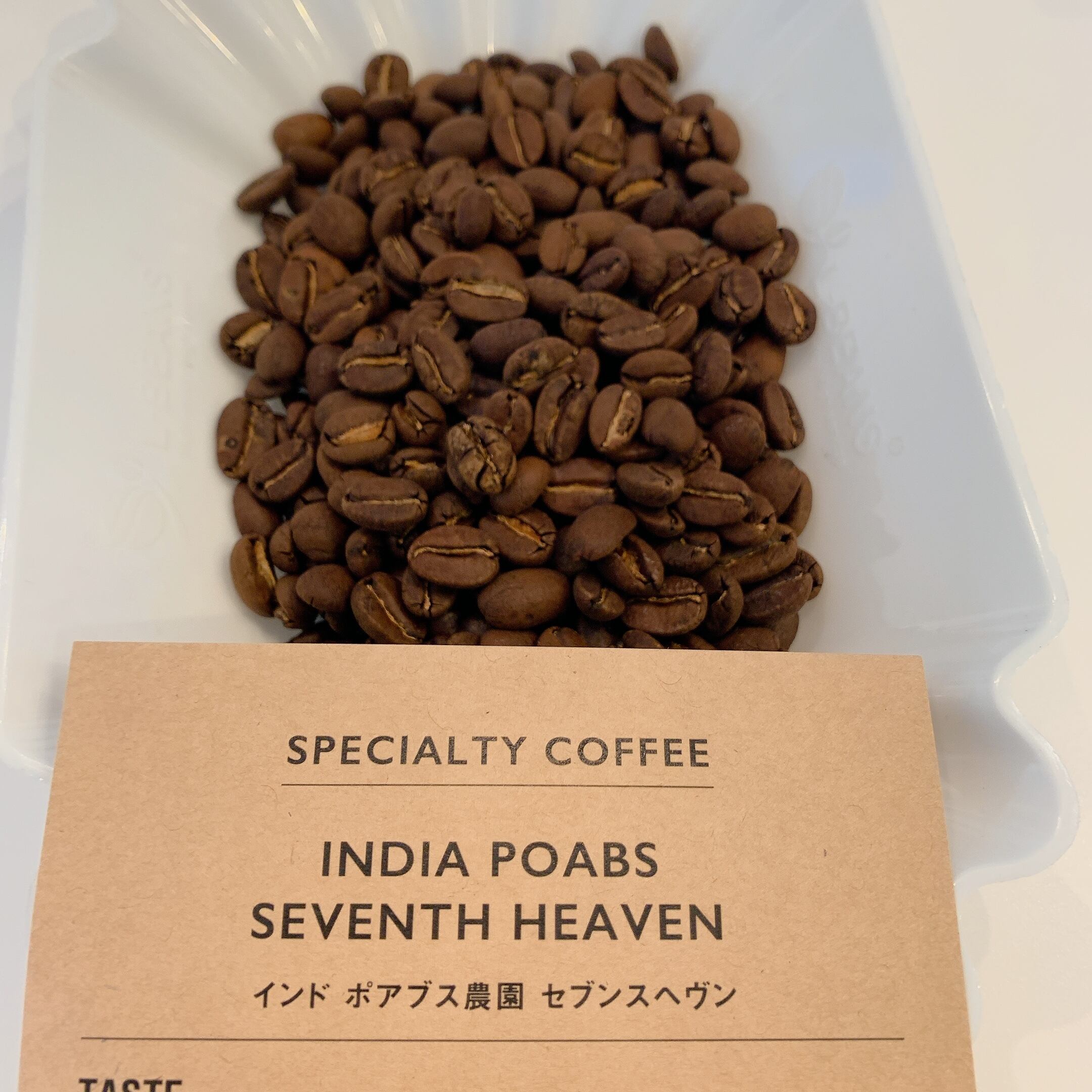 インド セブンスヘヴン ウォッシュドとケニア マサイ 各200g計400g